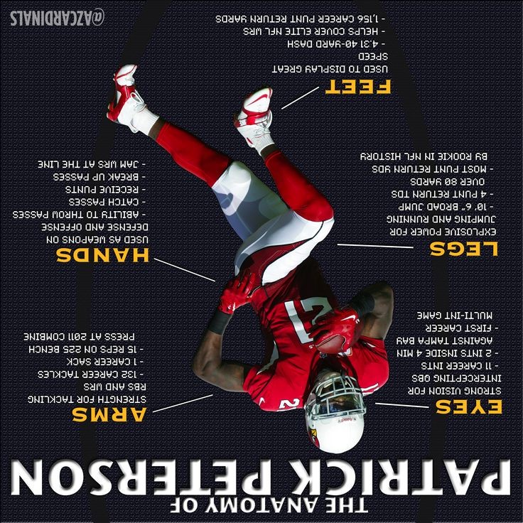 About Arizona Cardinals Infographic